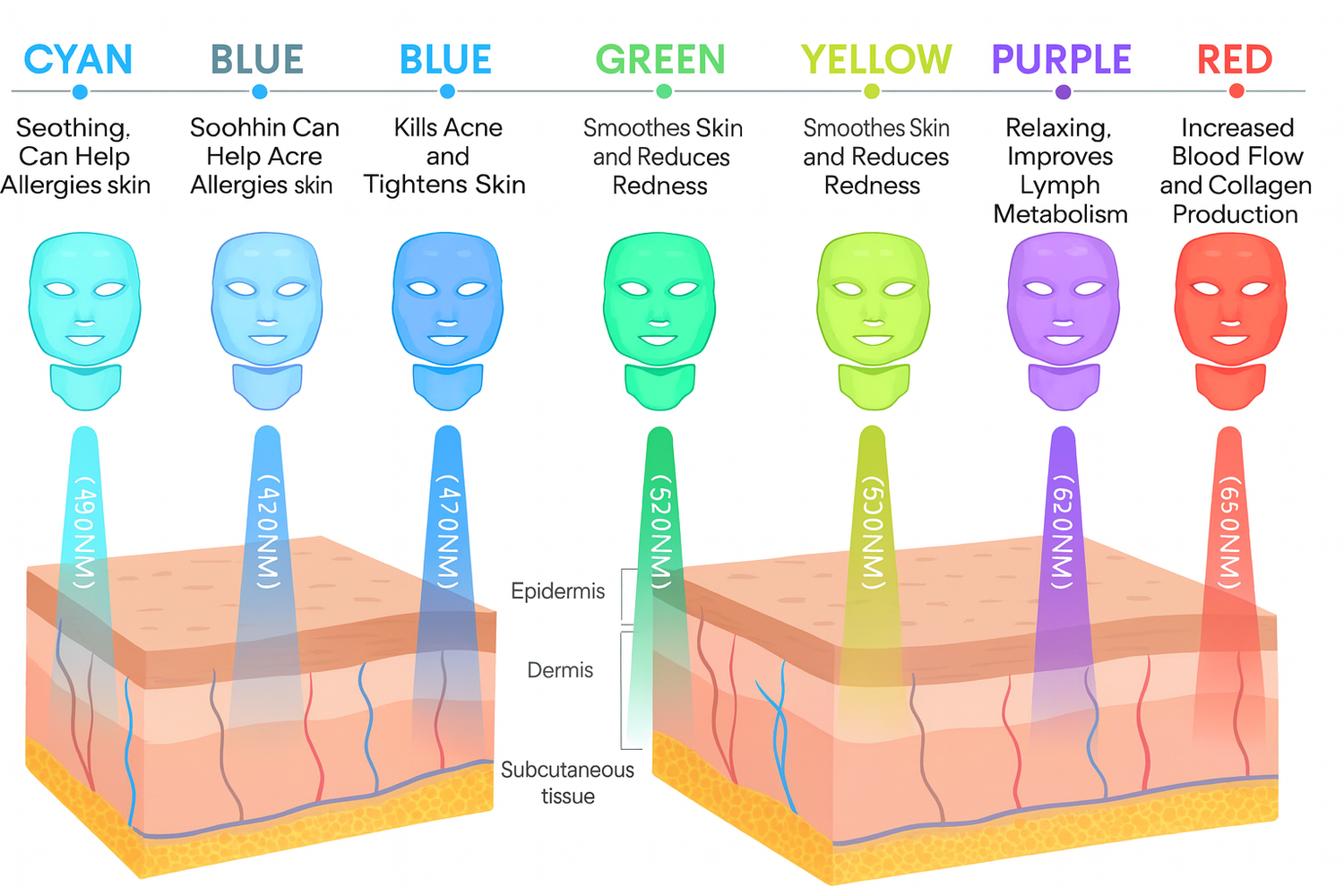 LED Revolution Face & Neck LED Treatment
